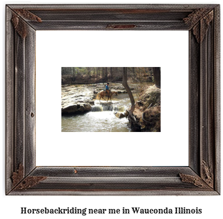 horseback riding near me in Wauconda, Illinois